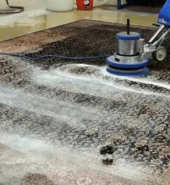 Professional rug cleaning with a rotary floor machine and shampoo foam, deep-cleaning an area rug South Bend, IN.